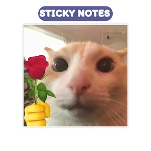 Pookie Cat Meme Sticky Notes