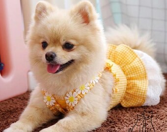 Robe d'été jaune à carreaux vichy pour petits chiens, tenue d'été pour chiot, jupe mignonne à carreaux avec bordure en dentelle, vêtements de printemps pour chatons