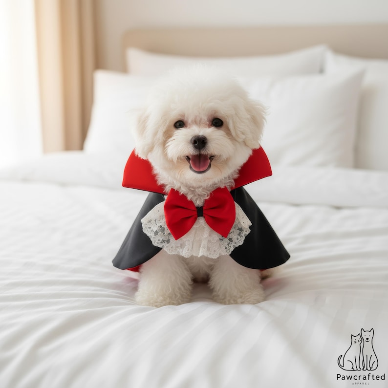 Pet Vampire Cape Costume – Sculptural Dracula Dog Cloak, Gothic Cat ...
