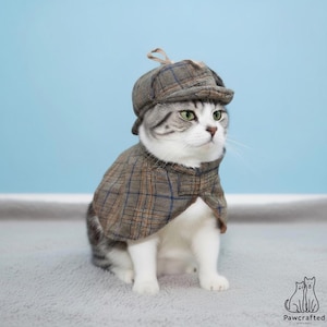 Grey and white tabby cat modelling the hound cape detective costume, checked tweed cape fastened at the throat under a matching flat deerstalker hat, sat on cream carpet before a light blue wall.
