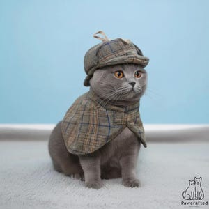 Grey British Shorthair cat with amber eyes wearing the detective pet costume, tweed cape fastened at the neck and flat cap with ear flaps, sat on a cream rug.