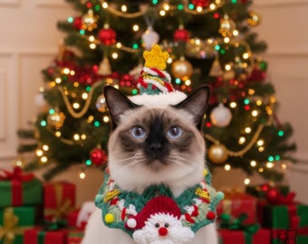 Ensemble de costume de Noël pour chat (2 pièces) : bonnet sapin et collier de Père Noël au crochet, tissés à la main. Tenue festive pour chats et petits chiens. Accessoire photo.