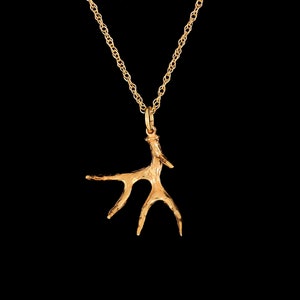 Small 14k Yellow Gold Typical Mule Deer Antler Shed Pendant or Necklace (Optional Chain)