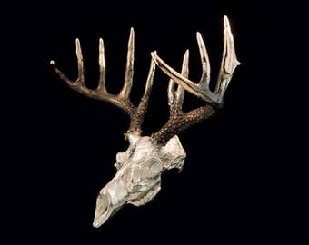 May include: Silver-plated deer skull with antlers. The skull is detailed and realistic, with a textured surface. The antlers are long and curved, with a polished finish.