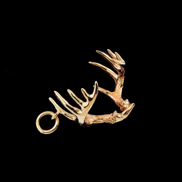 Colgante o collar pequeño de oro amarillo de 14k con forma de cráneo de ciervo de cola blanca. (Cadena opcional)