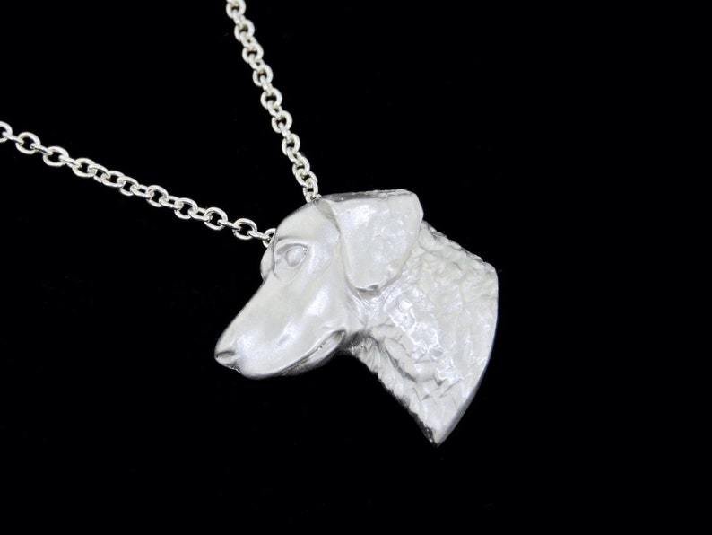 Sterling Silver Chesapeake Bay Retriever Pendant or Necklace Optional Chain
