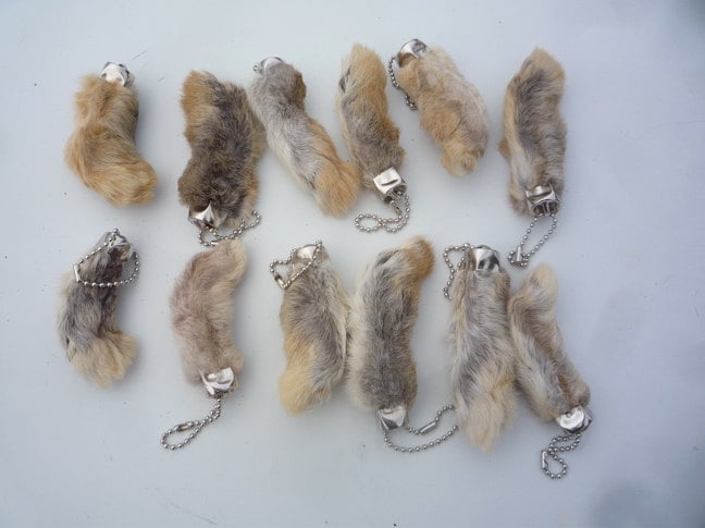 ラッキーラビットフット 本物のウサギの足のキーホルダー 数量12 1