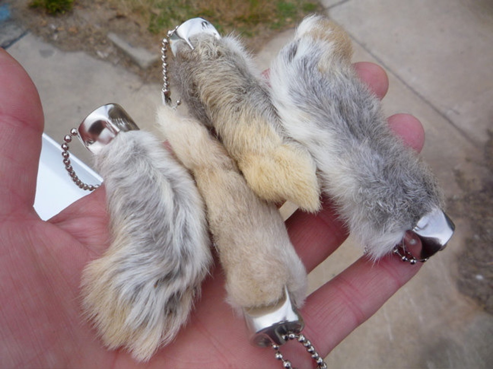 Rabbits foot. Кроличья лапка брелок. Заячья лапка. Брелок из кроличьей лапки. Брелок из лапки кролика.