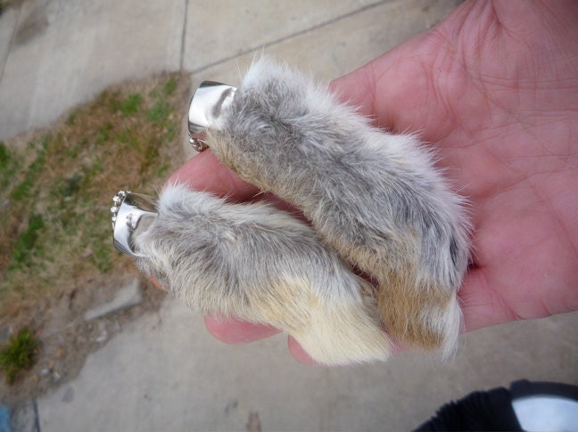 Rabbits foot. Кроличья лапка. Лапки кролика. Ножка кролика. Маникюр лапка кролика.