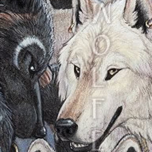 Pack of Werewolves With Bloody Fangs Under a Full Moon Print - Etsy