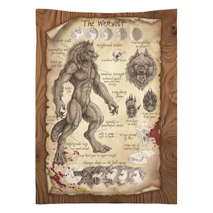 May include: A tapestry featuring a detailed illustration of a werewolf with anatomical details and text. The artwork includes a full werewolf figure, a wolf head, and diagrams. The text includes "The Werewolf" and other descriptive labels.