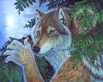 Anthro Wolf in Evergreen Forest Print