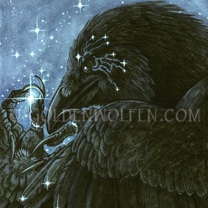 Cuervo recogiendo estrellas en las plumas