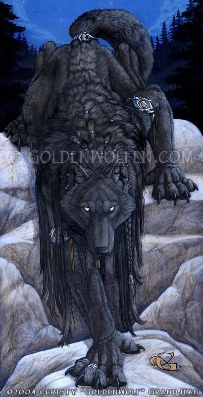 Black Wolf on Rocks at Night Print - Etsy