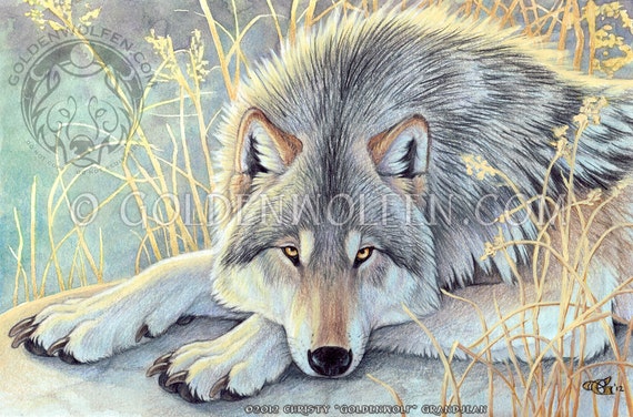 Contemplative Staring Wolf Print | Etsy