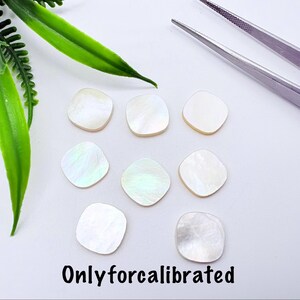 May include: Eight small, square-shaped mother-of-pearl shell pieces with rounded corners and an iridescent finish. The pieces are arranged in a cluster, accompanied by a pair of metal tweezers. The text "Onlyforcalibrated" is printed at the bottom.