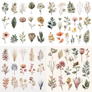 Vintage Aquarell Botanische Clip Art: Gedämpfte Töne (Digital Download PNG 4er Set)