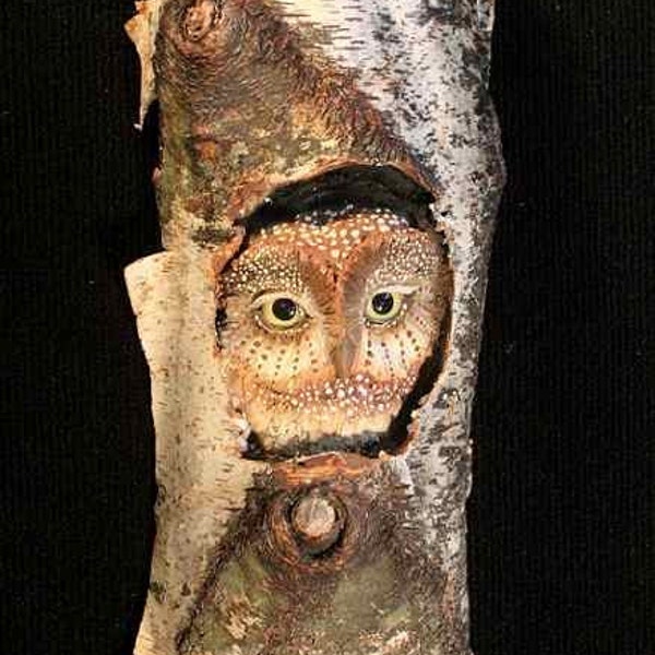 Wood Carving-Owl in Birch