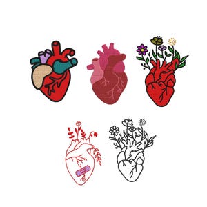 Anatomical Heart Embroidery, Human Heart Embroidery, Heart bundle Embroidery, Floral Heart Embroidery, Heart Outline Embroidery, 6 Sizes