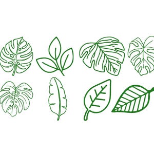 Puede incluir: Ocho ilustraciones de hojas verdes sobre fondo blanco. Los dibujos lineales representan diferentes formas de hojas, incluyendo hojas de monstera y plátano, en un estilo sencillo y limpio. Las hojas son de diferentes formas y tamaños.