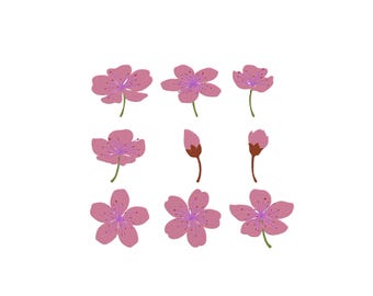 Cherry Blossom Embroidery, Floral Embroidery Design, Sakura Blossom Design, Japanese cherry Flower, Machine Embroidery Design, 6 Sizes