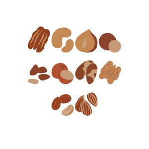 Puede incluir: Ilustración de varias nueces, incluyendo nueces pecanas, anacardos, avellanas, nueces de macadamia, nueces de Brasil, nueces y almendras. Las nueces se representan en tonos marrones y beige sobre un fondo blanco, mostrando sus diferentes formas y texturas.