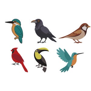 May include: A collection of six colorful bird illustrations on a white background. The birds include a kingfisher, crow, sparrow, cardinal, toucan, and hummingbird. Each bird is depicted in a cartoon style with detailed features and vibrant colors.