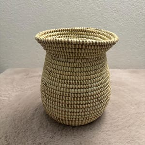 Peut inclure: Un petit panier tissé, rond, doté d'un bord évasé. Le panier est fabriqué à partir de fibres naturelles de couleur beige clair, disposées en un motif de bobines horizontales serrées, créant un corps cylindrique texturé qui se rétrécit vers la base.