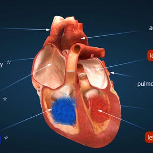 May include: A white ceramic mug with a black handle and the text "But First, Coffee" in a bold, black font. The mug is set against a blurred background, suggesting a cozy setting.