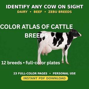 Peut inclure: Un guide numérique intitulé IDENTIFY ANY COW ON SIGHT DAIRY BEEF ZEBU BREEDS COLOR ATLAS OF CATTLE BREEDS avec une vache noire et blanche sur fond vert. Le texte indique 12 breeds full-color plates, 23 full-color pages et INSTANT PDF DOWNLOAD.
