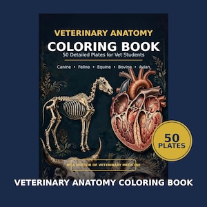 Puede incluir: Un libro de colorear de anatomía veterinaria con 50 láminas detalladas para estudiantes de veterinaria. La portada presenta un esqueleto de caballo, un corazón anatómico y una ilustración de cráneo con el texto: Veterinary Anatomy Coloring Book.