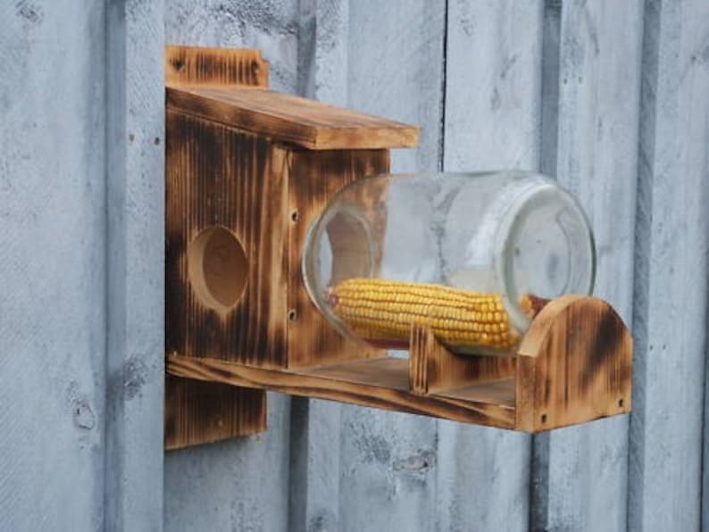 Squirrel Chipmunk Bird wildlife feeder glass jar included... free S/H image 1