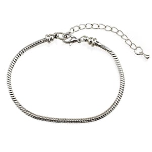 May include: A silver snake chain bracelet with a lobster clasp closure.