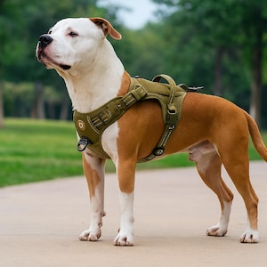 Tactical Dog Harness - Adjustable Vest with Reflective Straps