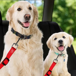 Adjustable Nylon Dog Car Seat Belt Harness: Pet Travel Safety