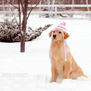 Crochet Doggie Hat (PDF) Pattern for Large Dogs