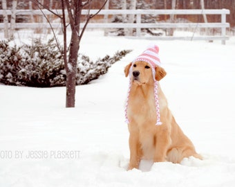 Patrón de gorro para perros de ganchillo (PDF) para perros grandes