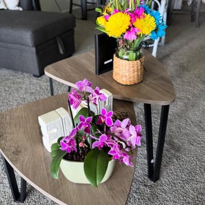 May include: A vibrant floral arrangement featuring yellow tulips, pink and yellow chrysanthemums, and blue flowers in a glass vase with a woven basket wrap. A small potted orchid with purple flowers sits on a wooden coffee table.