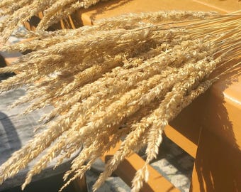 May include: Close-up of several bundles of dried wheat stalks, showcasing a natural, beige color. The wheat is arranged on a wooden surface, with sunlight casting shadows. The image suggests a rustic, natural theme, suitable for home decor.