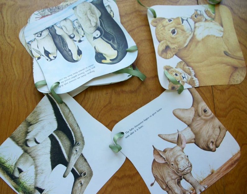 room decoration Handmade Vintage Animal Babies party decoration banner Illustrations bunting banner
