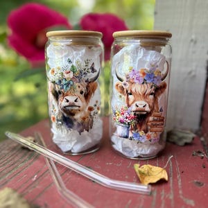 Highland Cow Glass Can with Bamboo Lid & Straw