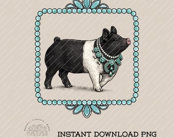 Show Pig Turquoise PNG: Show Pig, FFA, 4-H, Livestock PNG