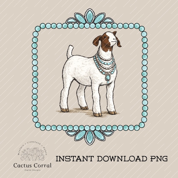 Turquoise Goat PNG: Show Goat png, Turquoise, Livestock