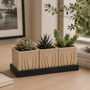 Modern Succulent Planter Set with Black Tray – Beige Minimal Planters – Japandi Desk Decor – Indoor Plant Pots – Office Decor