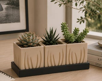 Juego de 3 jarrones modernos con bandeja negra, decoración minimalista contemporánea para suculentas y decoración del hogar.