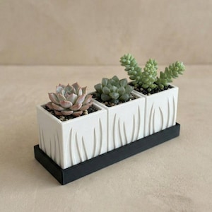 Vaso Design Organico | Regalo Casa Nuova | Set Trio Portavaso Minimal per Succulente | Modello “Trio Aloe”