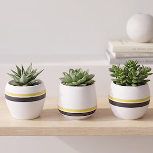 Peut inclure: Trois pots de plantes en céramique blanche avec des succulentes, chacun orné d'une bande noire et jaune. Les pots sont posés sur une étagère en bois clair, avec une sphère blanche et des livres en arrière-plan. Design moderne et minimaliste.