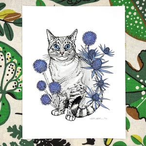 Lynx Point Siamese Stellina Moltisanti med Eryngium och Echinops konsttryck