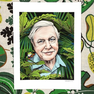 Sir David Attenborough Portrait Art Print