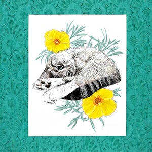 Lynx Point Siamese Stellina Moltisanti Mexikansk Tulip Poppy Illustration Fine Art Print